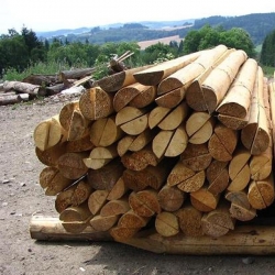 Dřevěná půlkulatina, výška 150 cm, průměr 6 cm